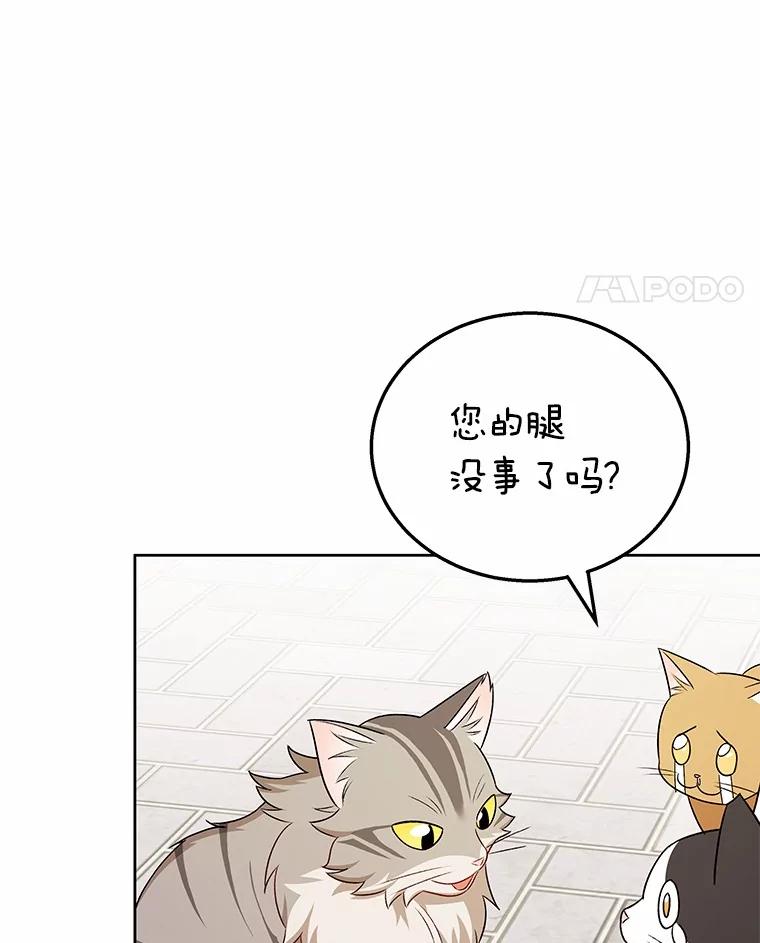 《你好？兽医先生！》21.重回公园 第66页