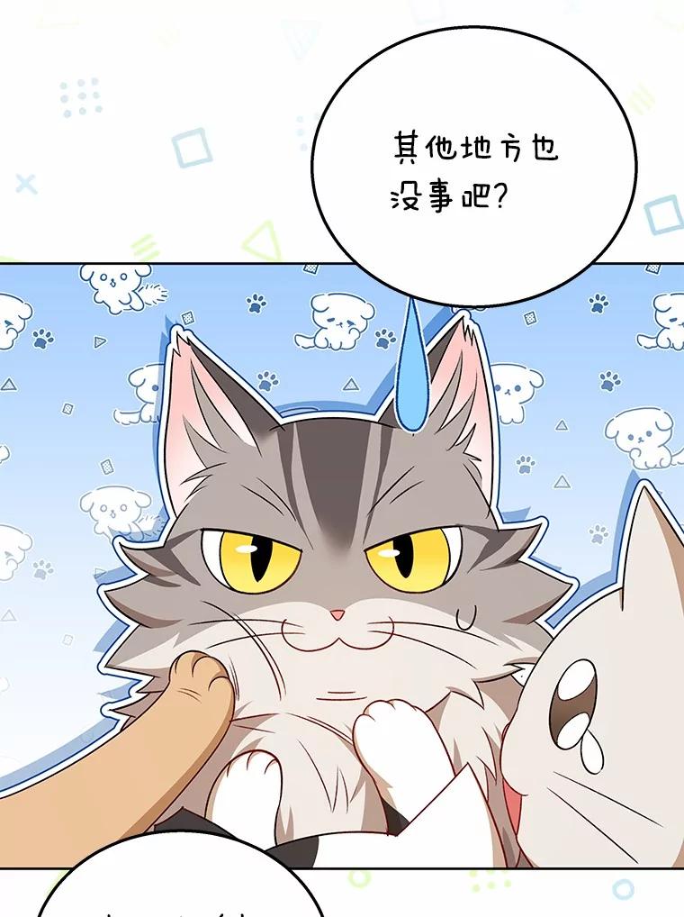 《你好？兽医先生！》21.重回公园 第68页