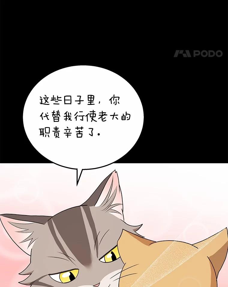 《你好？兽医先生！》21.重回公园 第43页