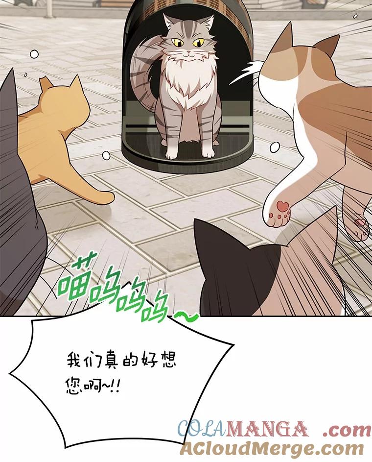 《你好？兽医先生！》21.重回公园 第65页