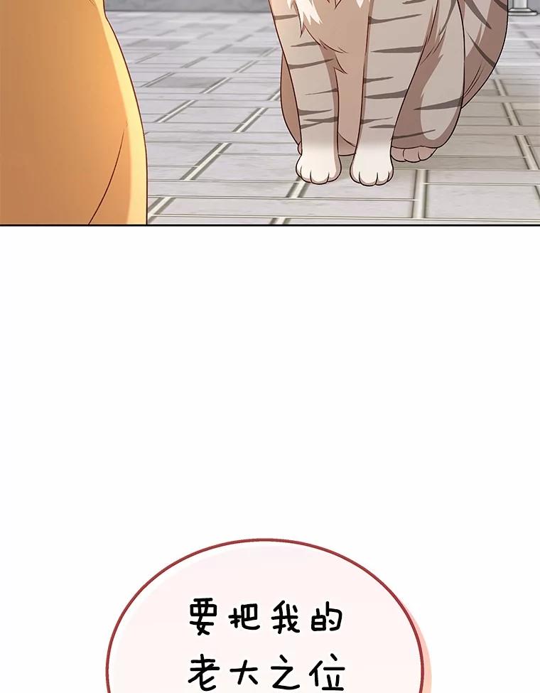 《你好？兽医先生！》21.重回公园 第107页