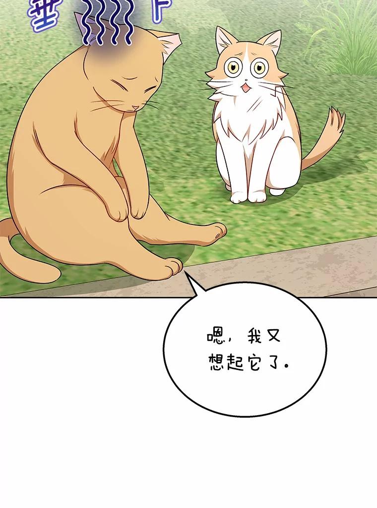 《你好？兽医先生！》21.重回公园 第50页