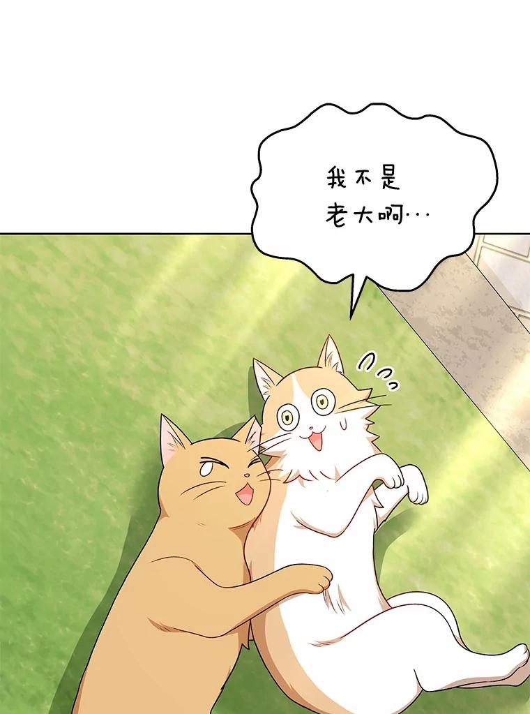 《你好？兽医先生！》21.重回公园 第48页