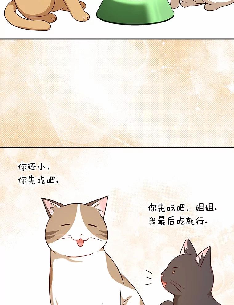 《你好？兽医先生！》21.重回公园 第86页