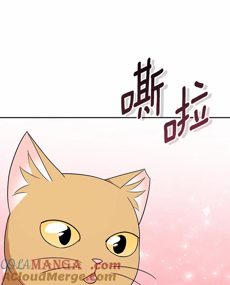 《你好？兽医先生！》21.重回公园 第57页