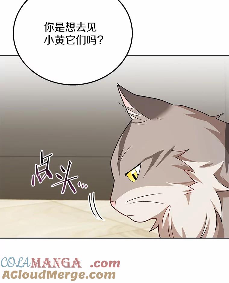 《你好？兽医先生！》21.重回公园 第29页