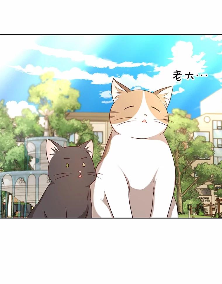 《你好？兽医先生！》21.重回公园 第104页