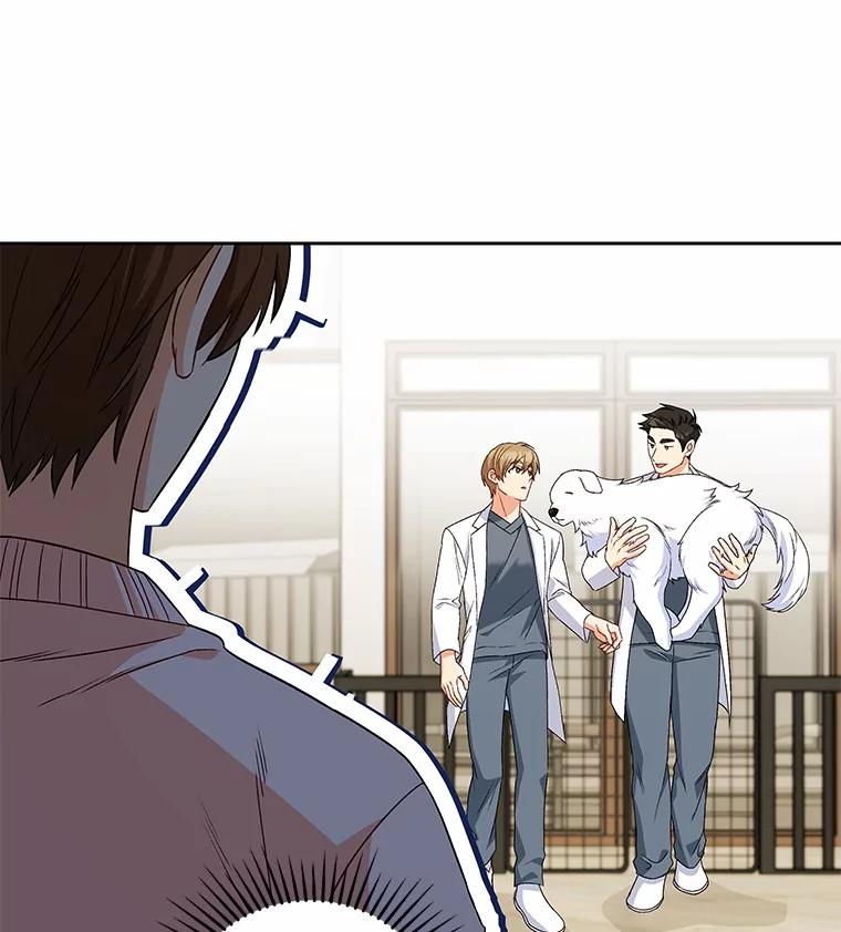 《你好？兽医先生！》22.新员工 第96页