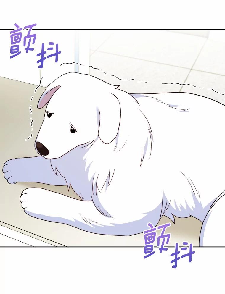 《你好？兽医先生！》23.一百多斤的宝宝 第55页