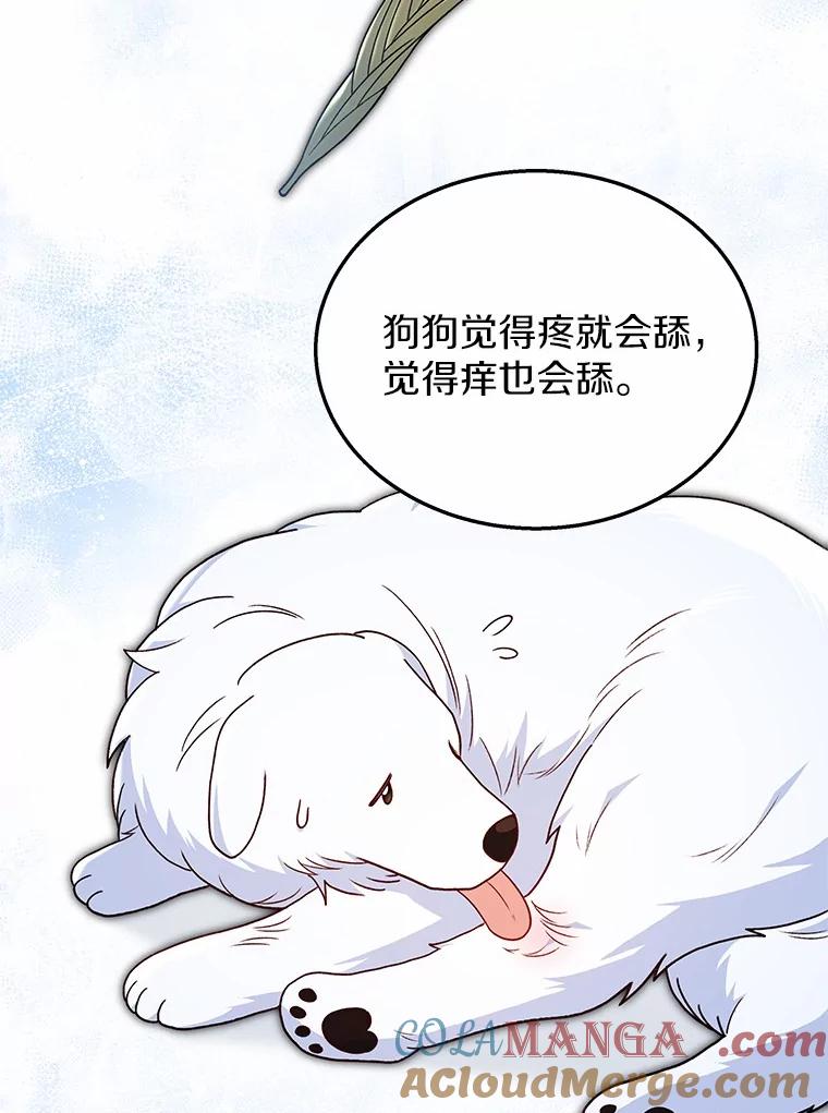 《你好？兽医先生！》23.一百多斤的宝宝 第37页