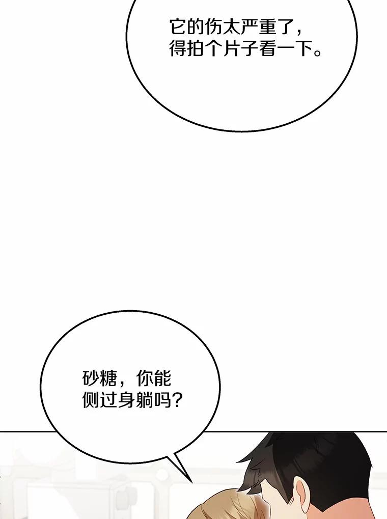 《你好？兽医先生！》23.一百多斤的宝宝 第15页