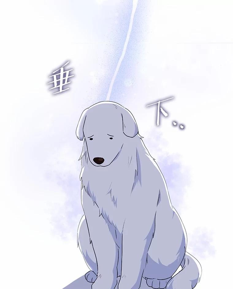 《你好？兽医先生！》24.出院礼物 第14页
