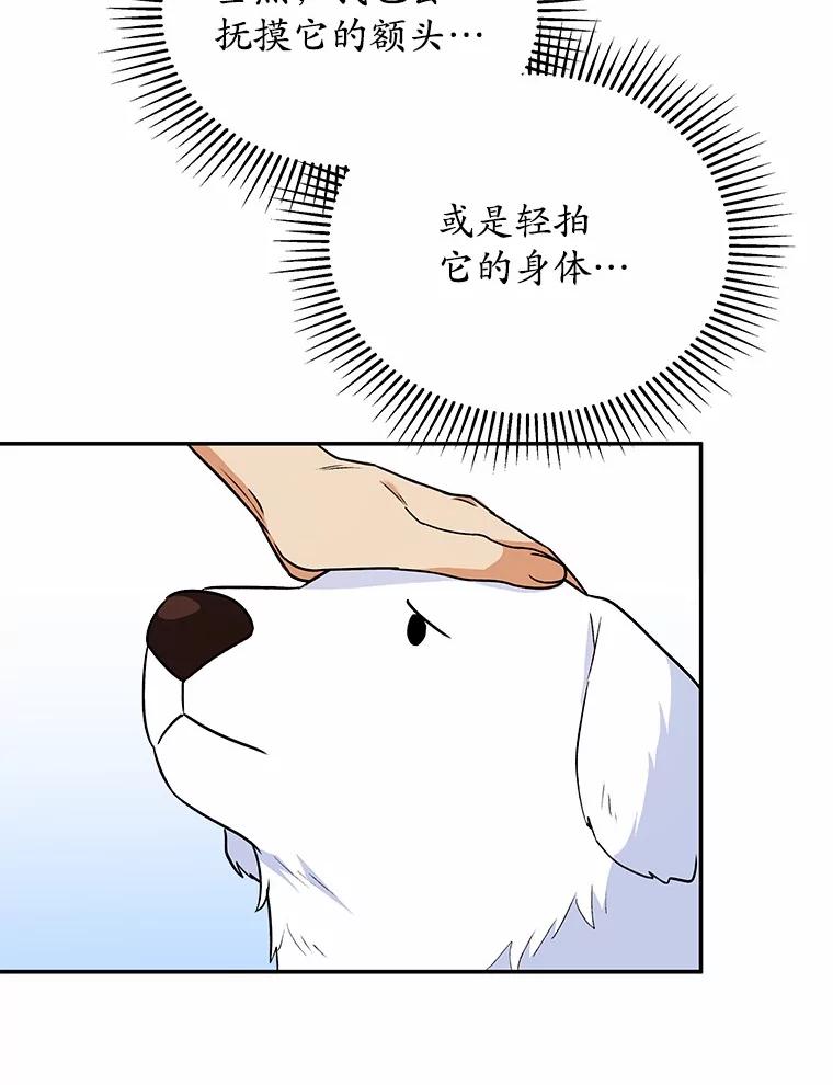 《你好？兽医先生！》24.出院礼物 第58页