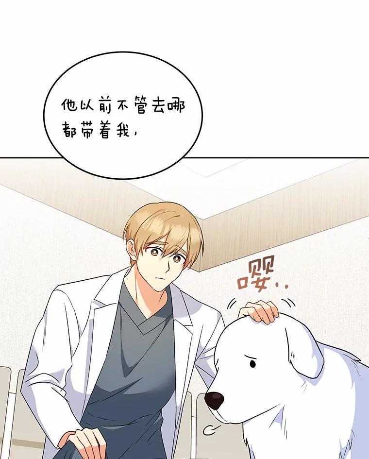 《你好？兽医先生！》24.出院礼物 第7页
