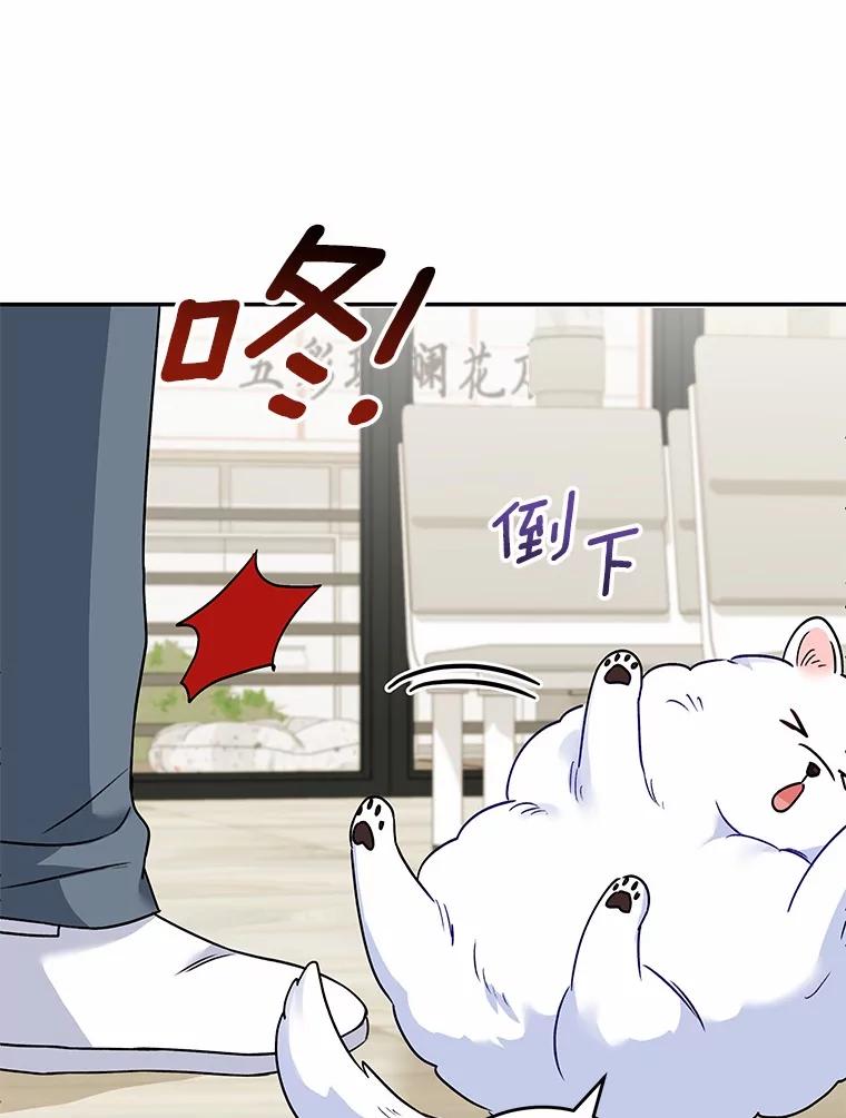 《你好？兽医先生！》24.出院礼物 第104页