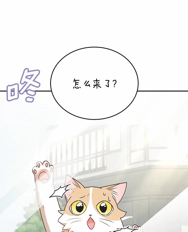《你好？兽医先生！》24.出院礼物 第132页