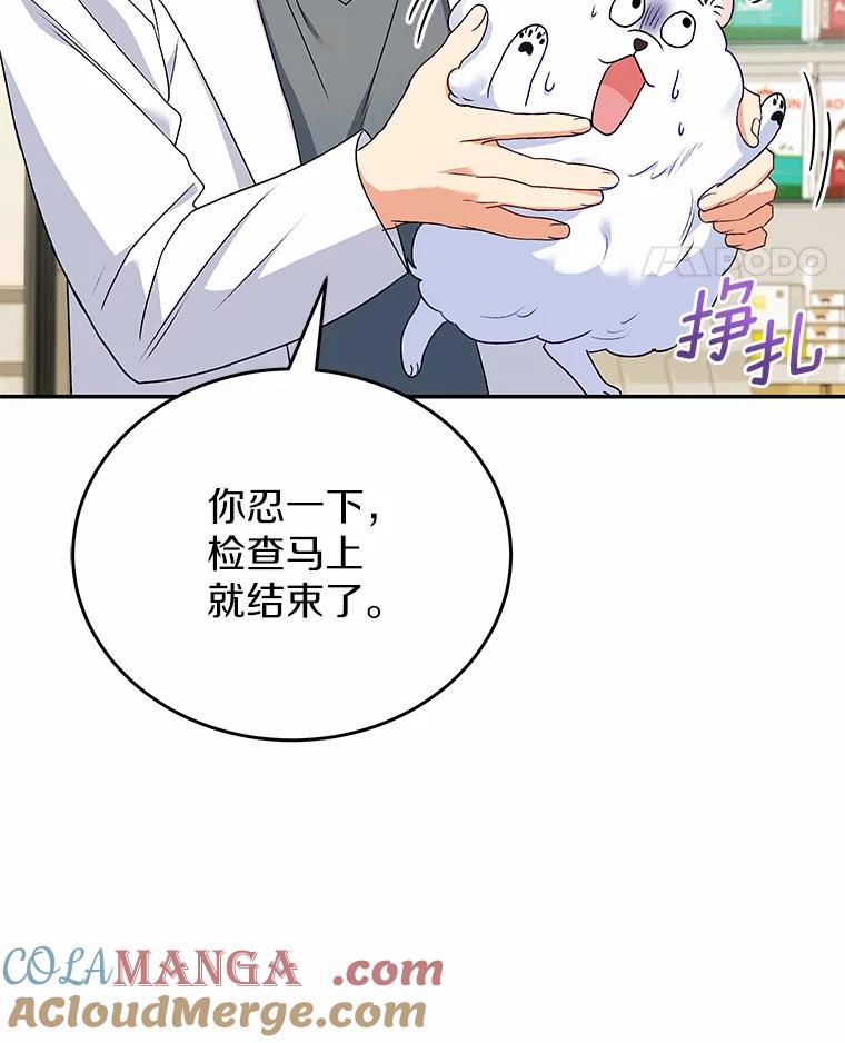 《你好？兽医先生！》24.出院礼物 第113页