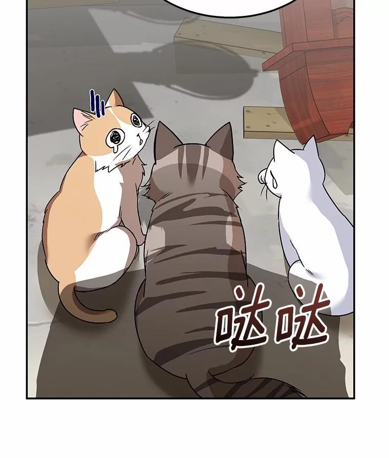 《你好？兽医先生！》25.逃犯 第41页