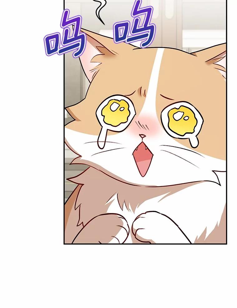 《你好？兽医先生！》25.逃犯 第9页