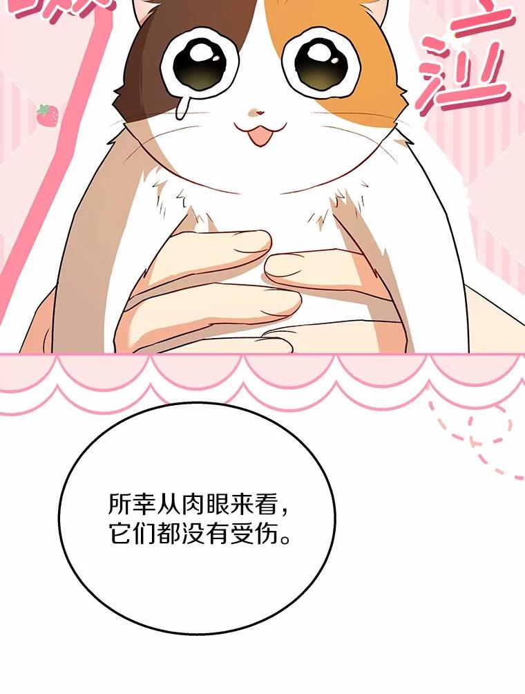 《你好？兽医先生！》26.不可或缺 第58页