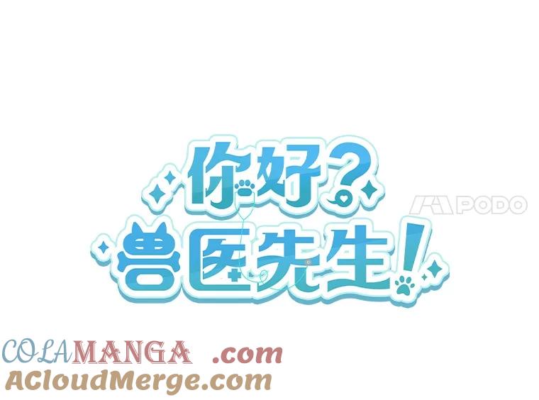 《你好？兽医先生！》27.流浪猫的生活 第45页