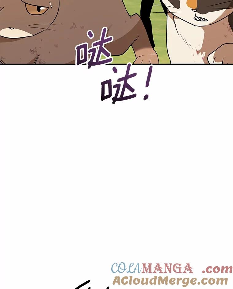《你好？兽医先生！》27.流浪猫的生活 第81页