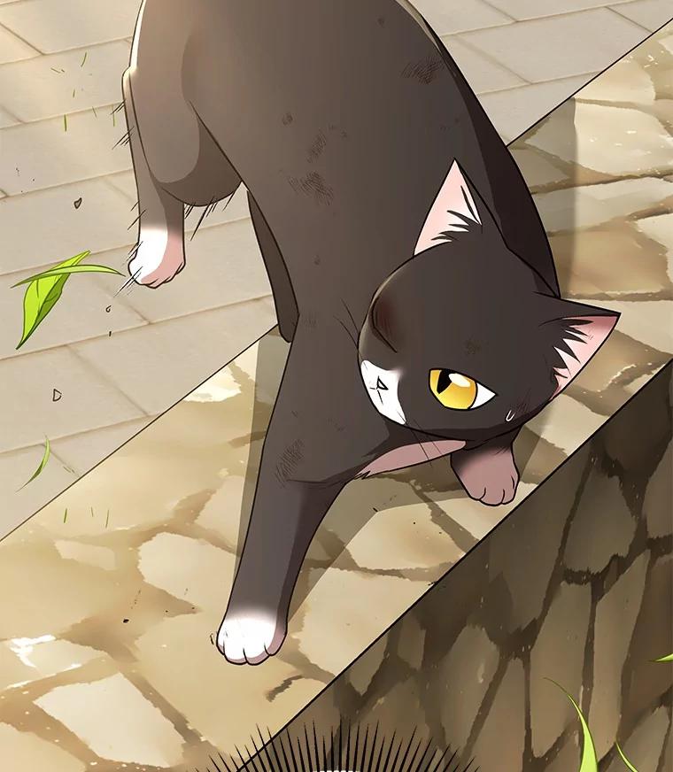 《你好？兽医先生！》27.流浪猫的生活 第43页