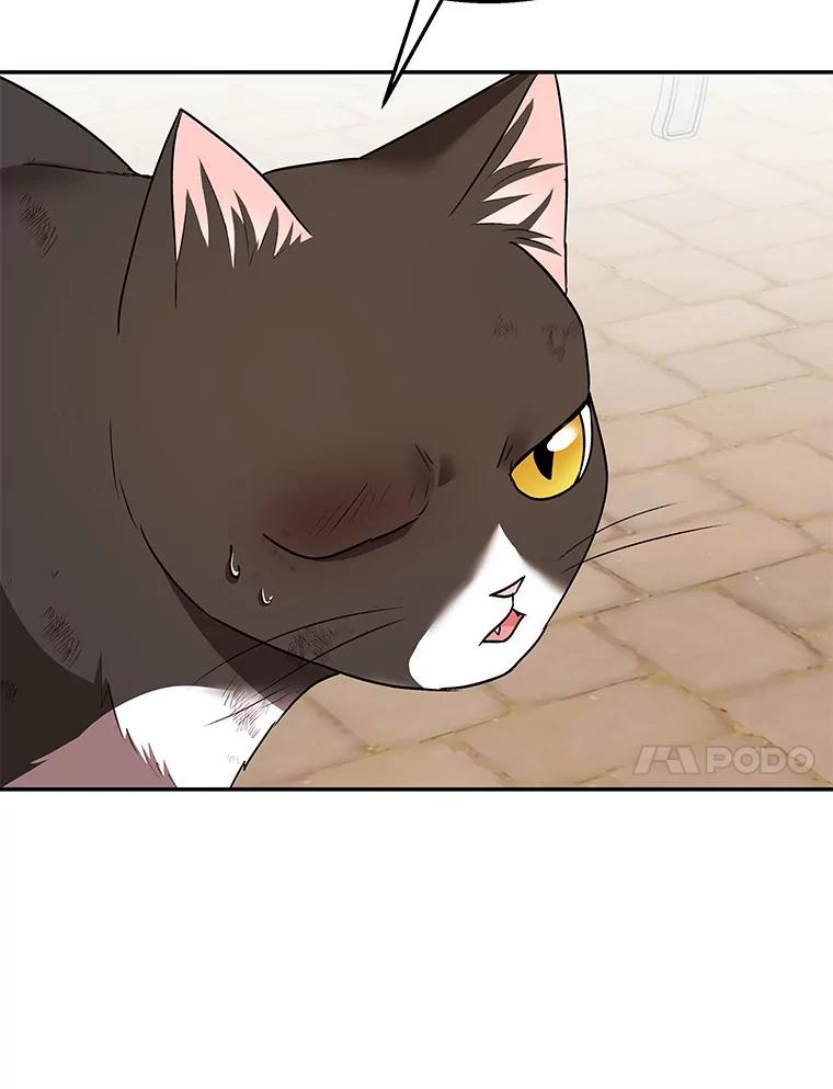 《你好？兽医先生！》27.流浪猫的生活 第14页