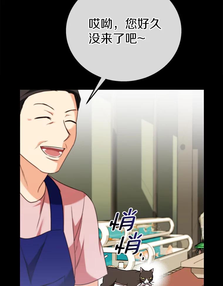 《你好？兽医先生！》27.流浪猫的生活 第16页