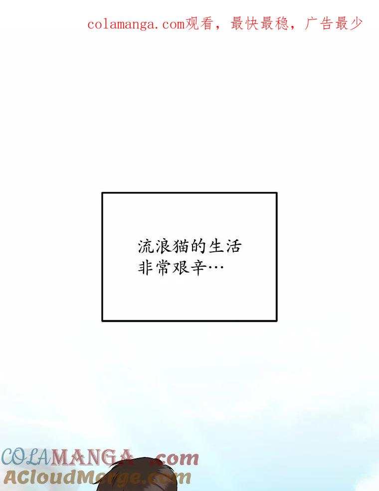 《你好？兽医先生！》27.流浪猫的生活 第1页