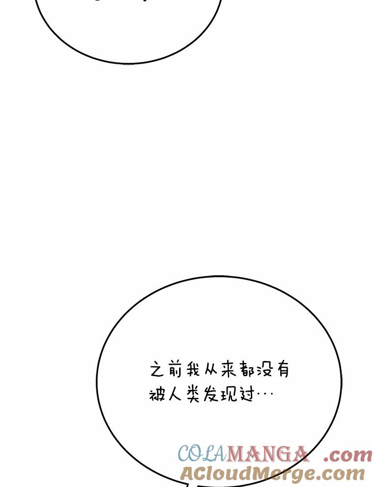 《你好？兽医先生！》27.流浪猫的生活 第13页