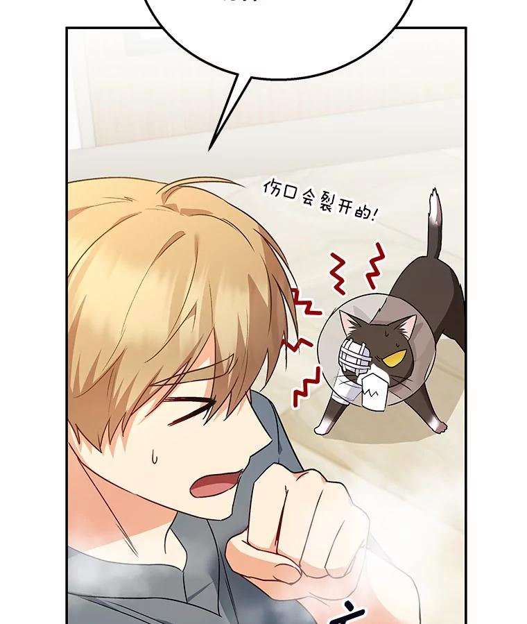 《你好？兽医先生！》27.流浪猫的生活 第107页