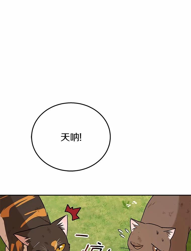 《你好？兽医先生！》27.流浪猫的生活 第78页