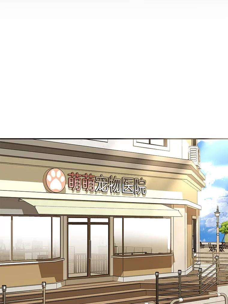 《你好？兽医先生！》27.流浪猫的生活 第96页
