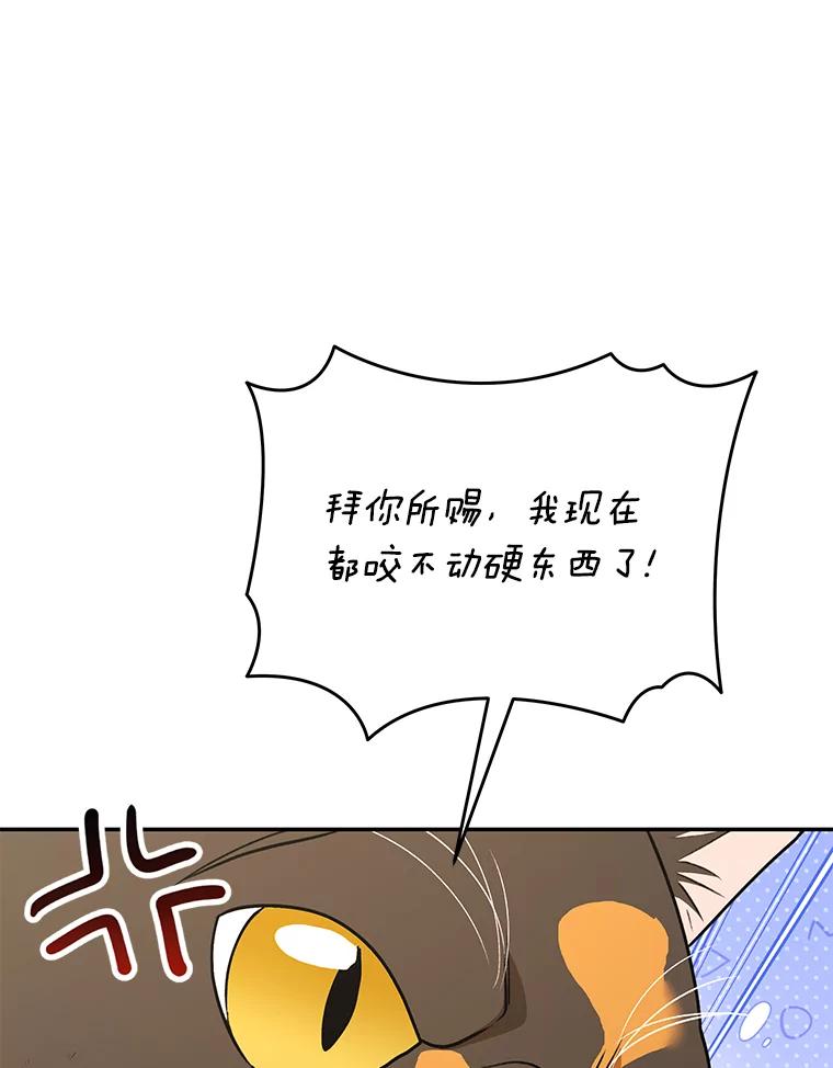 《你好？兽医先生！》27.流浪猫的生活 第35页