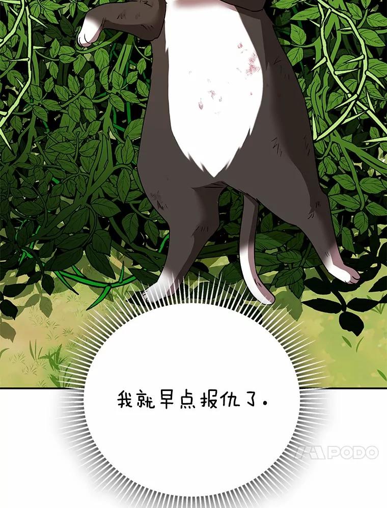 《你好？兽医先生！》27.流浪猫的生活 第75页