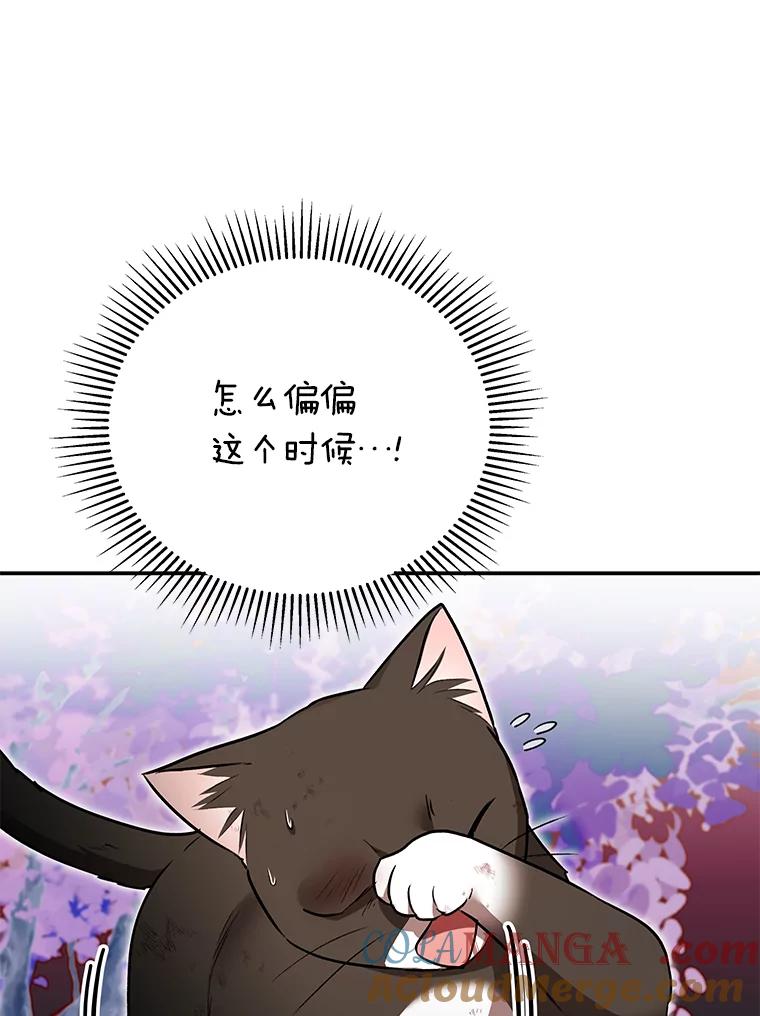 《你好？兽医先生！》27.流浪猫的生活 第61页