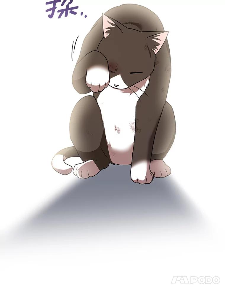《你好？兽医先生！》27.流浪猫的生活 第28页