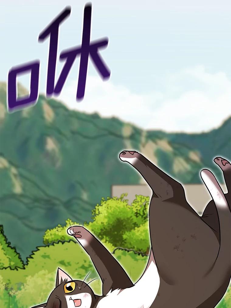 《你好？兽医先生！》27.流浪猫的生活 第64页