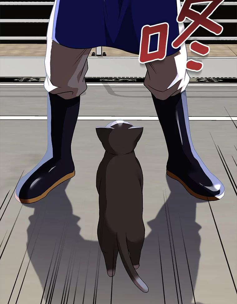 《你好？兽医先生！》27.流浪猫的生活 第22页