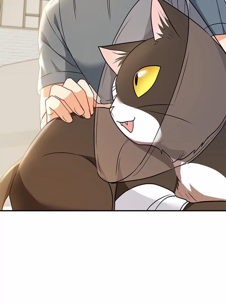 《你好？兽医先生！》27.流浪猫的生活 第104页