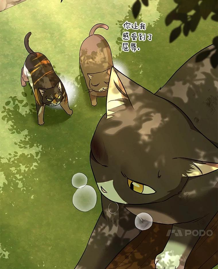 《你好？兽医先生！》27.流浪猫的生活 第52页
