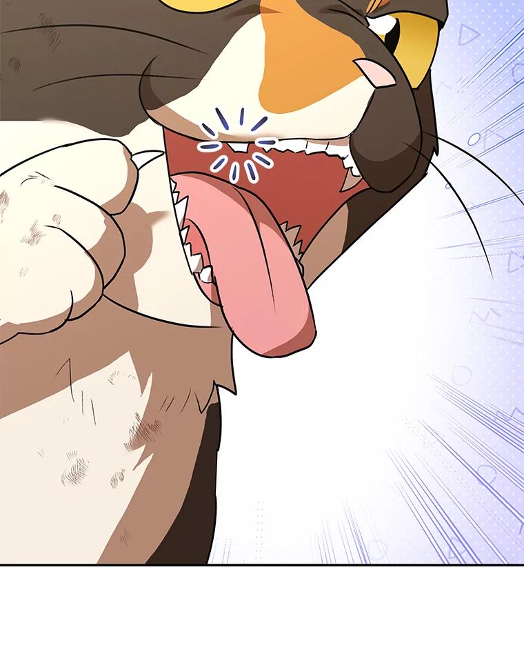 《你好？兽医先生！》27.流浪猫的生活 第36页