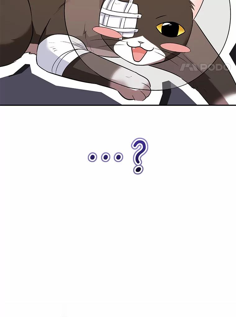 《你好？兽医先生！》27.流浪猫的生活 第102页