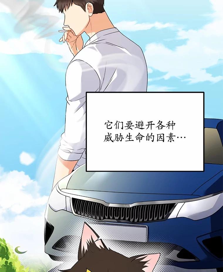 《你好？兽医先生！》27.流浪猫的生活 第2页