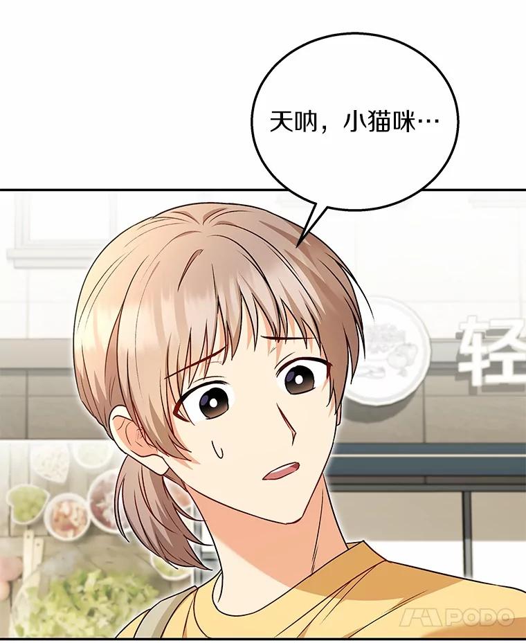 《你好？兽医先生！》27.流浪猫的生活 第7页