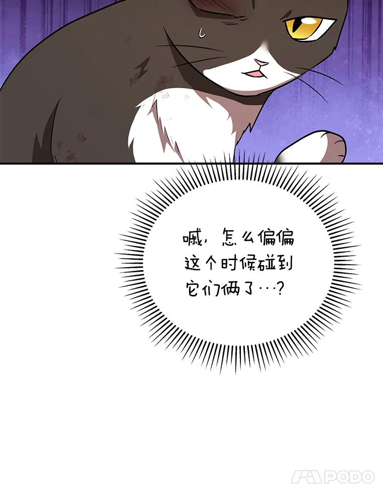 《你好？兽医先生！》27.流浪猫的生活 第38页