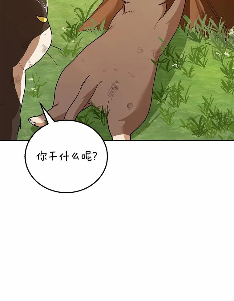 《你好？兽医先生！》27.流浪猫的生活 第50页