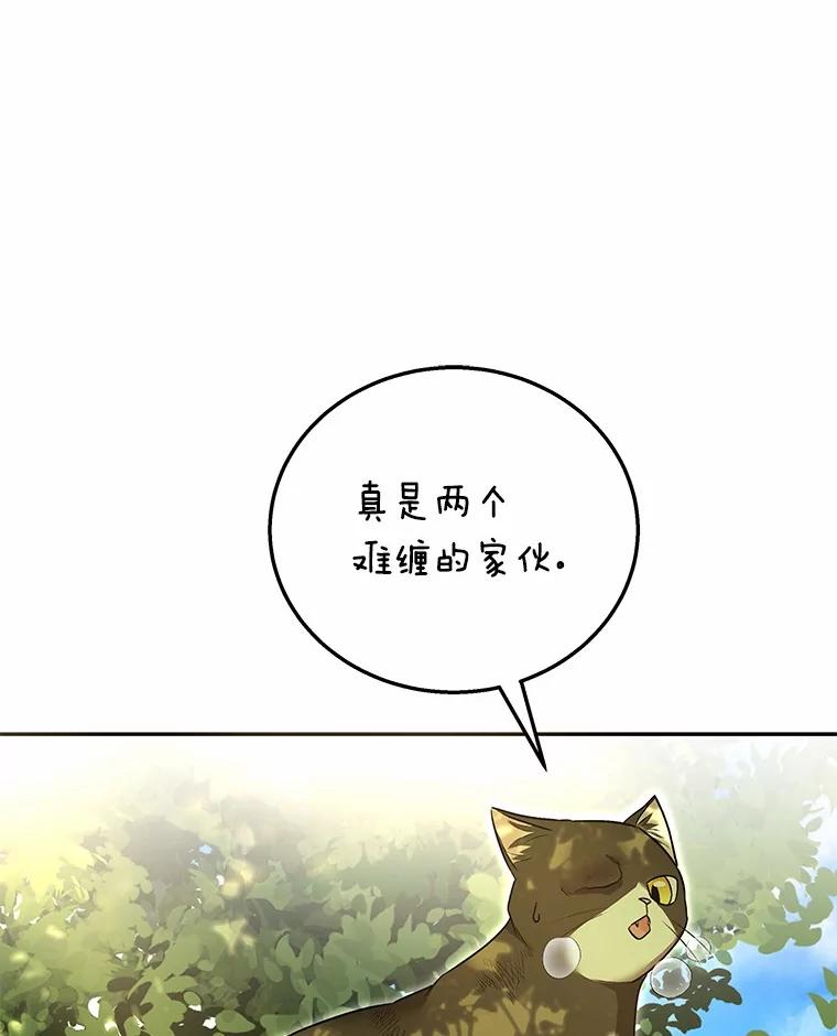 《你好？兽医先生！》27.流浪猫的生活 第54页
