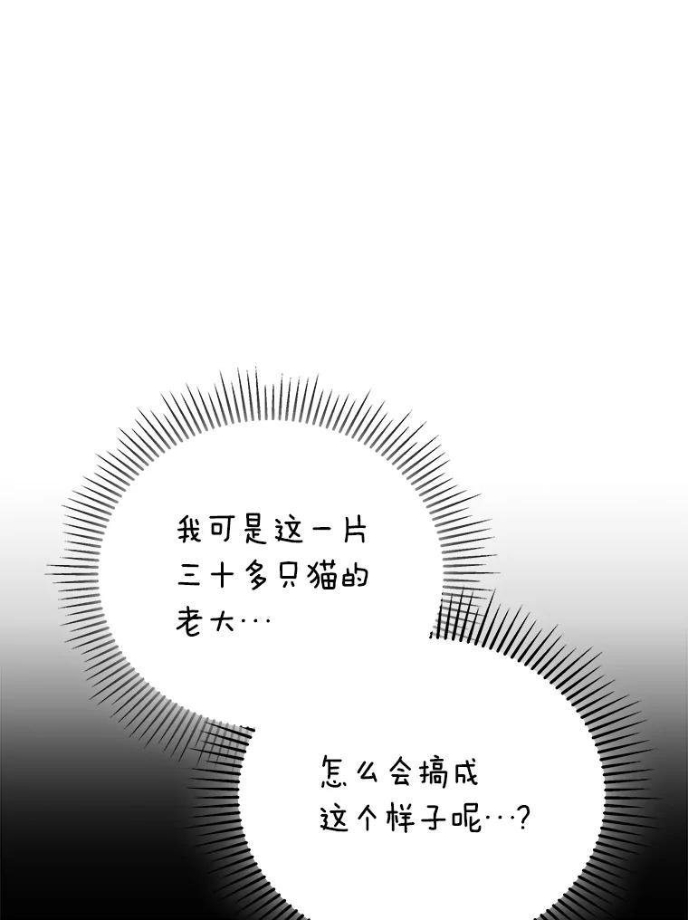《你好？兽医先生！》27.流浪猫的生活 第71页